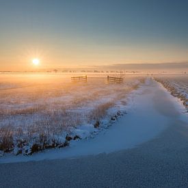 Winter in de polder van Raoul Baart
