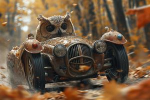 Herbstliches Rennabenteuer mit einem weisen Eulenpiloten