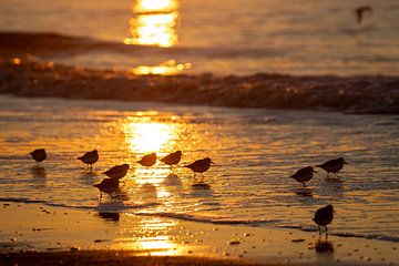 sunset wassenaar by Sebastian Stef
