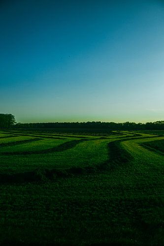 Een vers gemaaid weiland