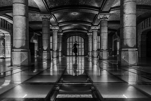 Tour & Taxis, balletversie.