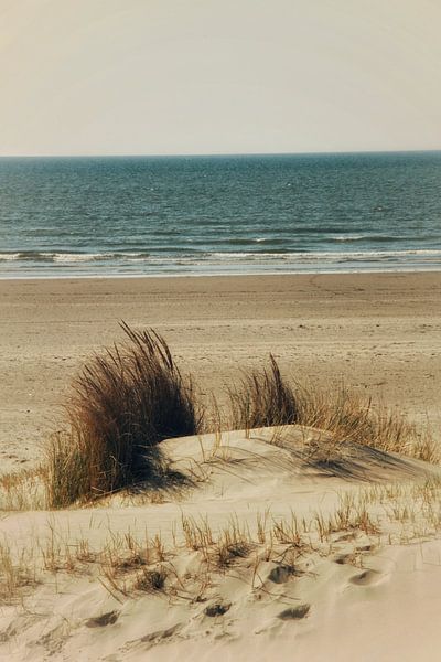Automne sur la plage de la mer du Nord.  Pays-Bas par Yuliya Yarmolich