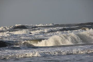 De wilde zee van Fotografie Fryslân