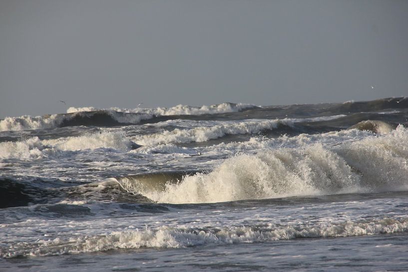 De wilde zee by Fotografie Fryslân