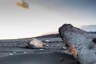 IJsblokken op het Jökulsárlón-strand, IJsland von Marie-Christine Alsemgeest-Zuiderent Miniaturansicht
