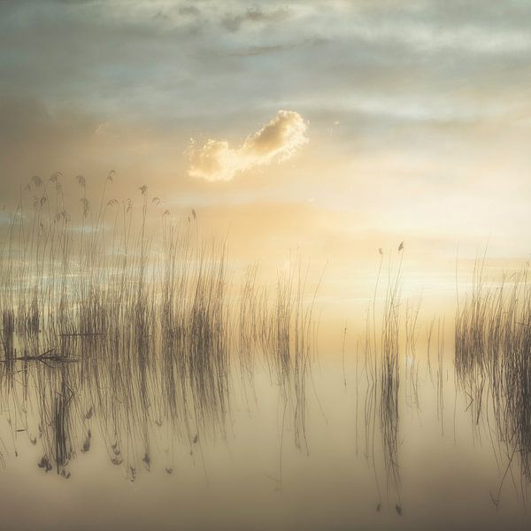 Morning silence by Monique van Velzen
