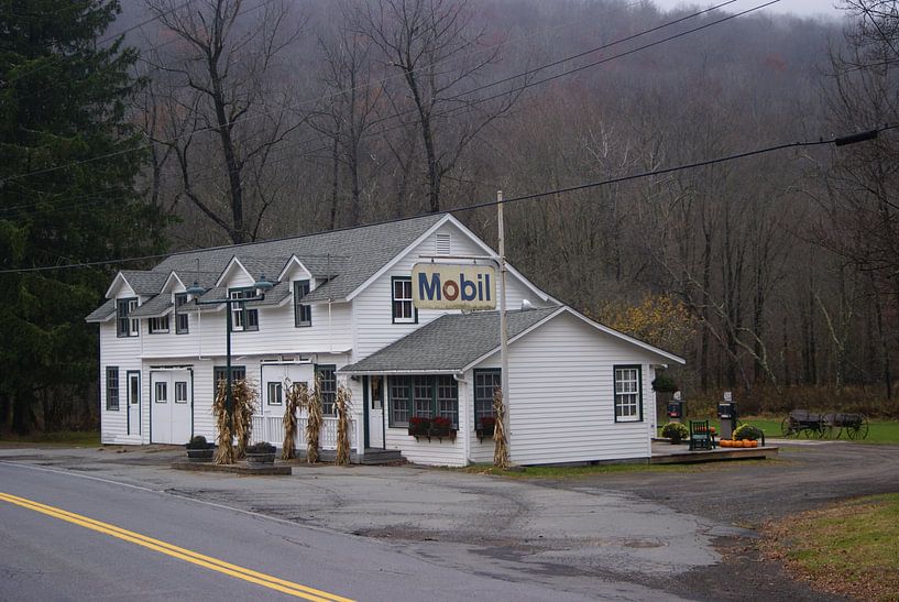Catskills gasstation  by Victor de Reuver