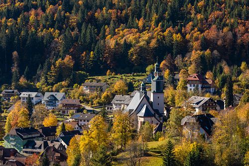 Todtmoos in het Zwarte Woud