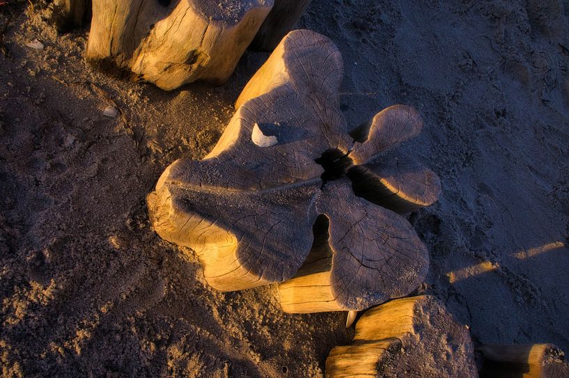 Single groyne on the Baltic Sea by Martin Köbsch