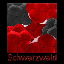 Schwarzwaldhüte 4.0 von Ingo Laue