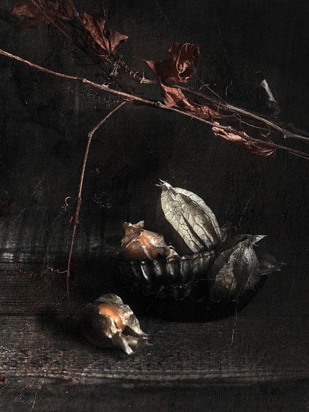 Physalis by Susan Brooks-Dammann