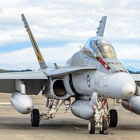 Royal Australian Air Force McDonnell Douglas F/A-18B Hornet. by Jaap van den Berg