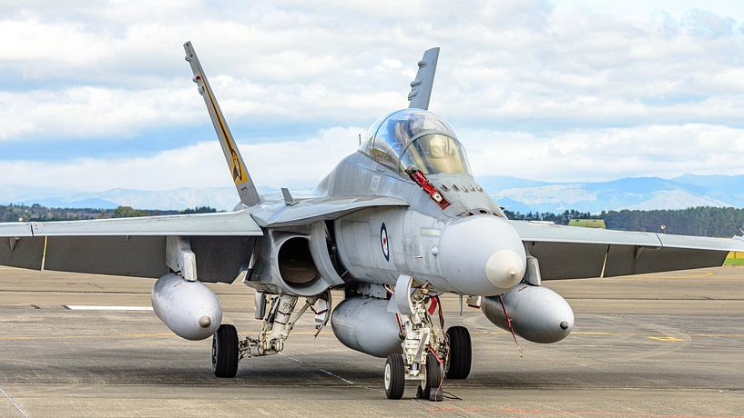 Royal Australian Air Force McDonnell Douglas F/A-18B Hornet. by Jaap van den Berg