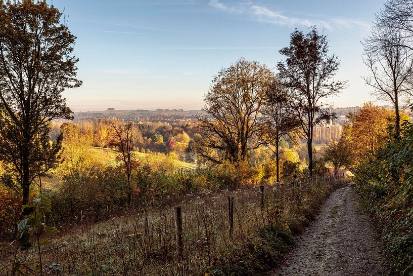 L'automne à Beertsenhoven par Rob Boon