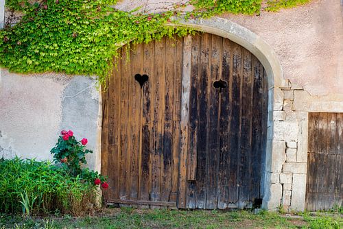 Altes Tor mit Herzkartensymbolen Herz und Pik und Rosenbusch.