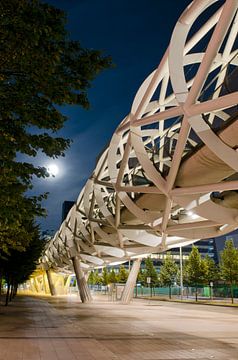 Tram/ semi Metro Station "Fishnet Stocking" (Netkous), The Hague, The Netherlands sur Pierre Timmermans