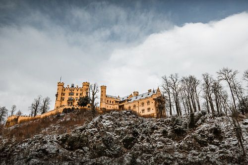 Alpsee | Winter in the Alps