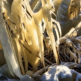 Eisskulptur von Peter Bolman