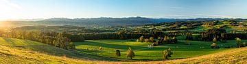 Blick vom Mariaberg auf den Grünten und die Allgäuer Alpen im Herbst von Leo Schindzielorz