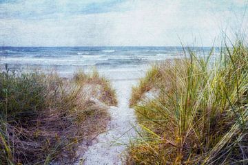 Weg zum Strand von Claudia Moeckel