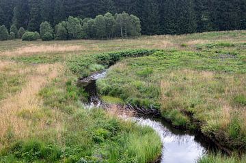Rivier Roer in België van Richard Wareham