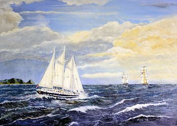 Zeilschip de Eendracht. van Pieter Johannes Schenk