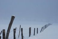 Mysteriöse Winterlandschaft von Victor Belou Miniaturansicht