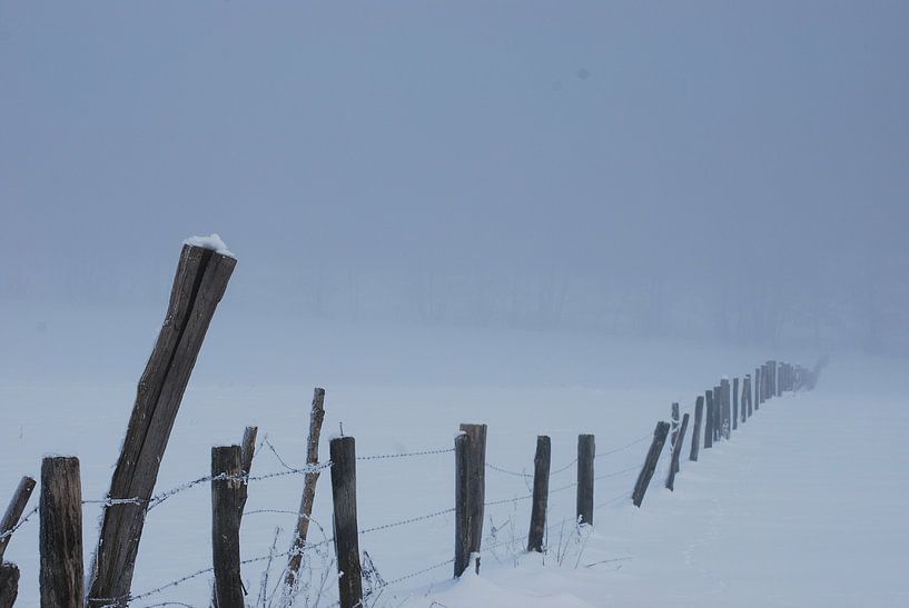 Mysteriöse Winterlandschaft von Victor Belou