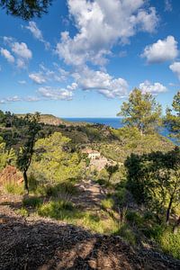 Tramuntana-Gebirge (Mallorca)
