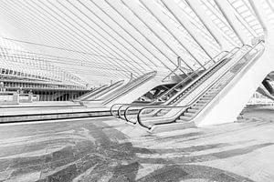 Treinstation Luik von Sophie Wils