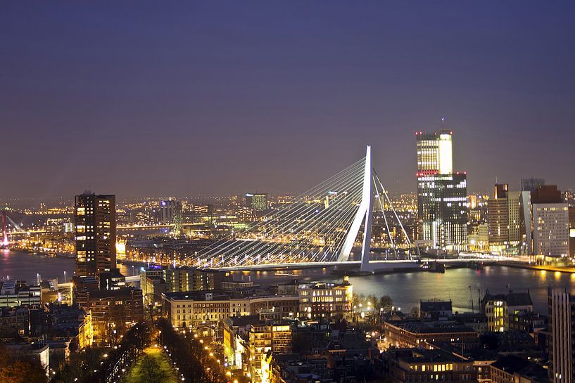 Erasmus bridge in Rotterdam at night by Eye on You