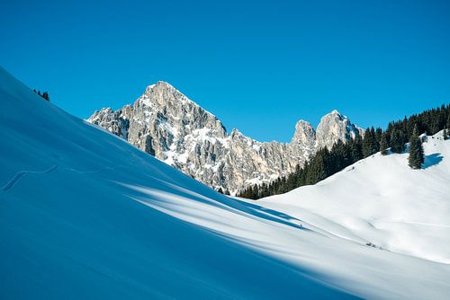 Winteruitzicht op de Kellenspitze