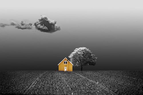 Das Gelbe Haus von Marianne Binnenmars