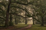 Palace Park - Het Loo Royal Estate by Moetwil en van Dijk - Fotografie thumbnail
