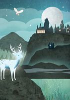 Affiche Harry Potter