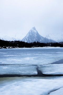 Ijsschotsen met een berg op Lofoten