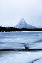 Ijsschotsen met een berg op Lofoten van Frank Pietersen thumbnail