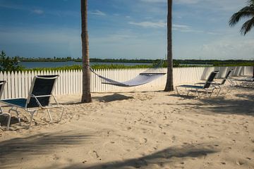 USA Florida von Tim Lee Williams