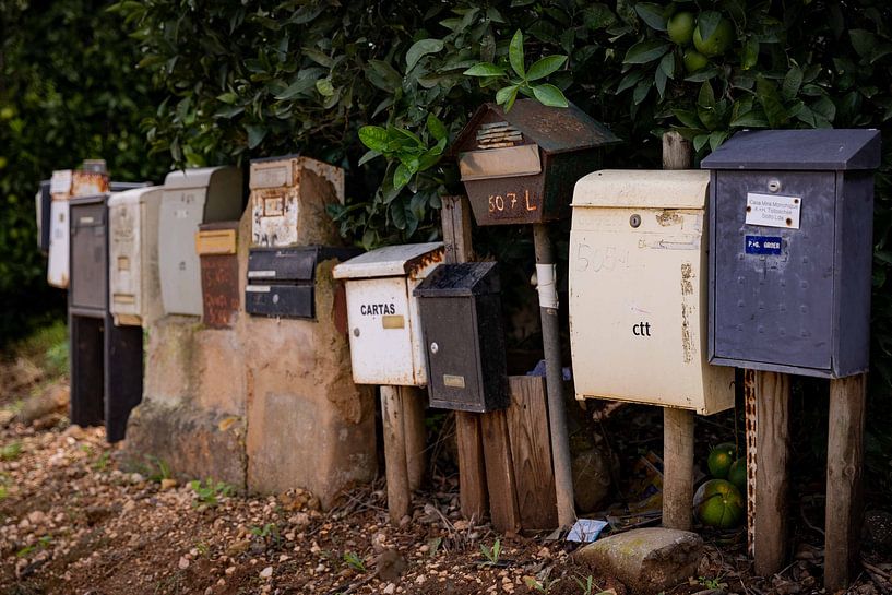 Mail Buses by Anouk Peeters