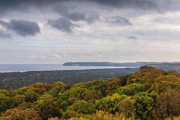 Autumn forests on the island of Rügen by Rico Ködder