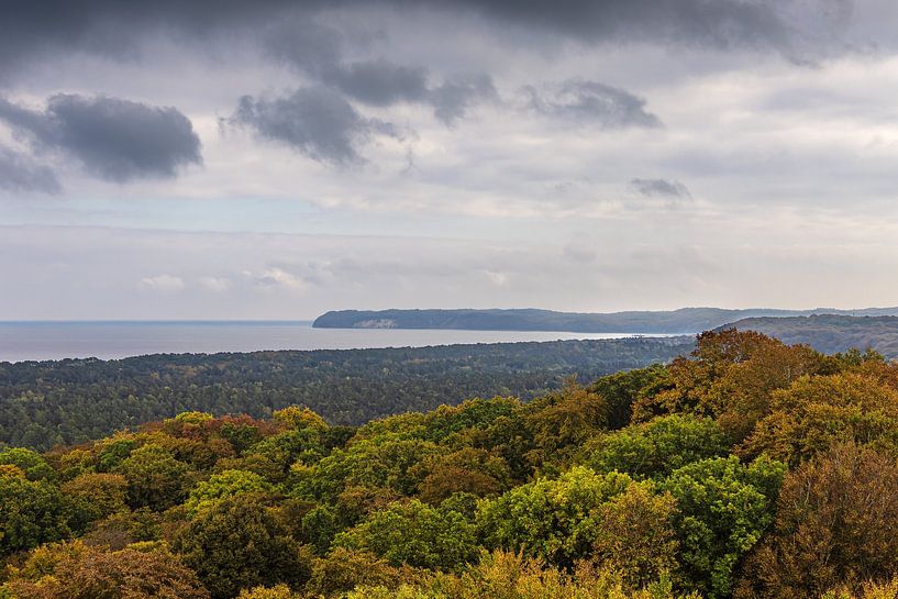 Herfstbossen op het eiland Rügen van Rico Ködder