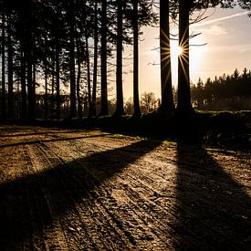 Here comes the sun - Bakkeveen van Ilona van Dijk