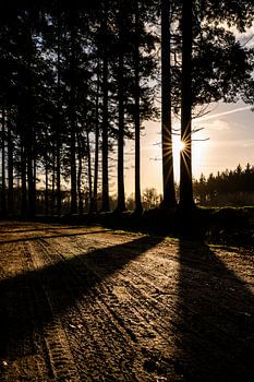 Hier kommt die Sonne