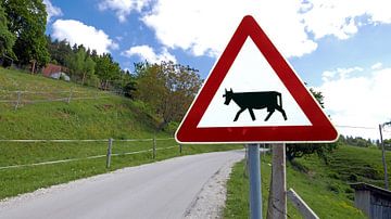 Waarschuwingsbord met Pas Op! Overstekende Koeien langs een buitenweg in Slovenie van Gert Bunt