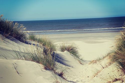 Duinen Ameland