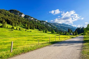 Frühling im Rohrmooser Tal von Andreas Föll