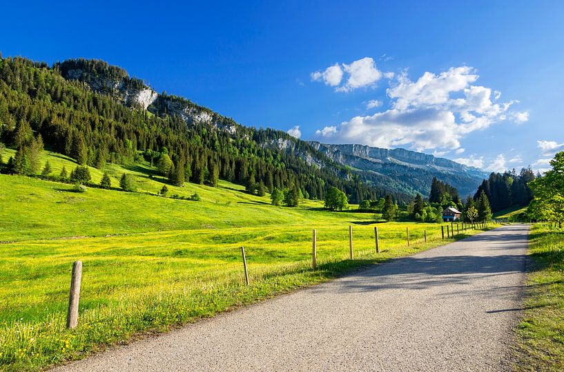 Spring in the Rohrmoos valley by Andreas Föll