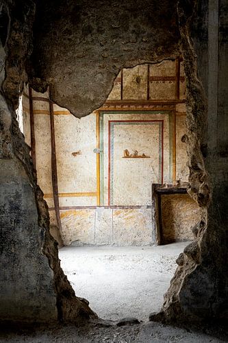 Pompeii's Past - Ancient Frescoes in Detail