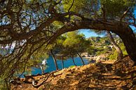 Calanques bij Marseille in Frankrijk van Tanja Voigt thumbnail