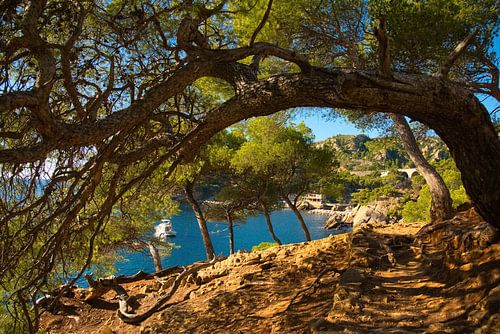 Calanques bij Marseille in Frankrijk